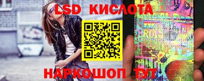 apvp Краснодар
