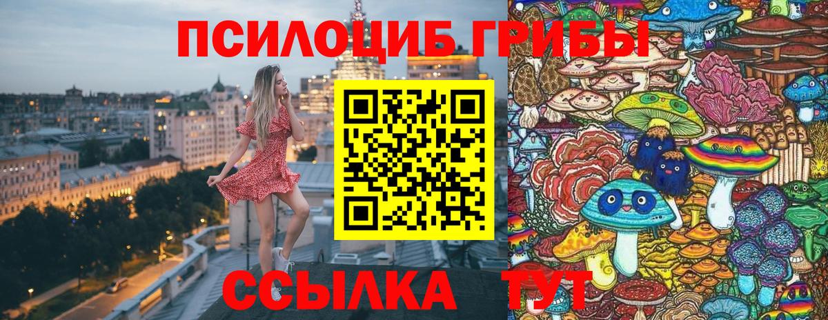 продажа наркотиков  Вход с VPN  Тулун  Галлюциногенные грибы прущие грибы 